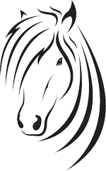 Futterergänzung für Pferde 